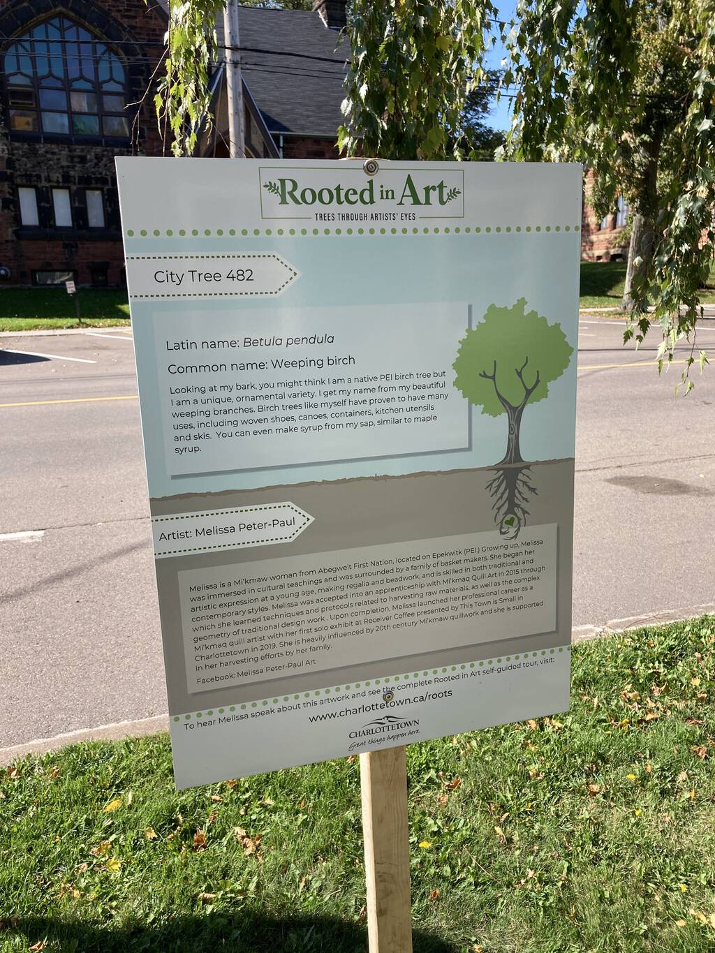 City Tree 482 information sign in front of 104 Prince Street