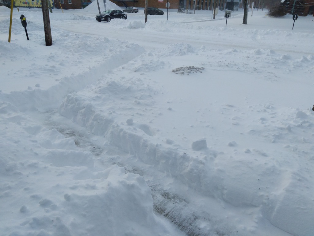 Photo of our front yard, where I've dug a tunnel to the street through the snow.