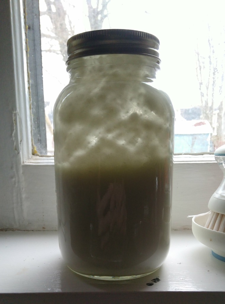 A large mason jar filled with Instant Pot yogurt