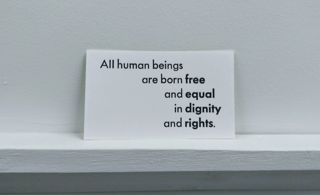 Universal Declaration of Human Rights, Article 1