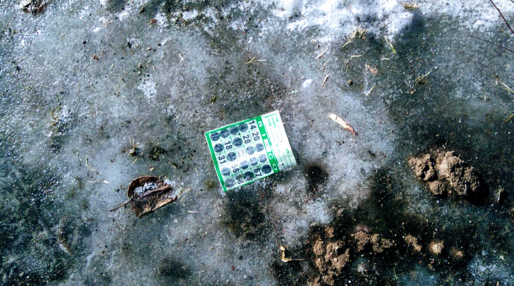 Photo of a BINGO card frozen in the ice in front of our house.