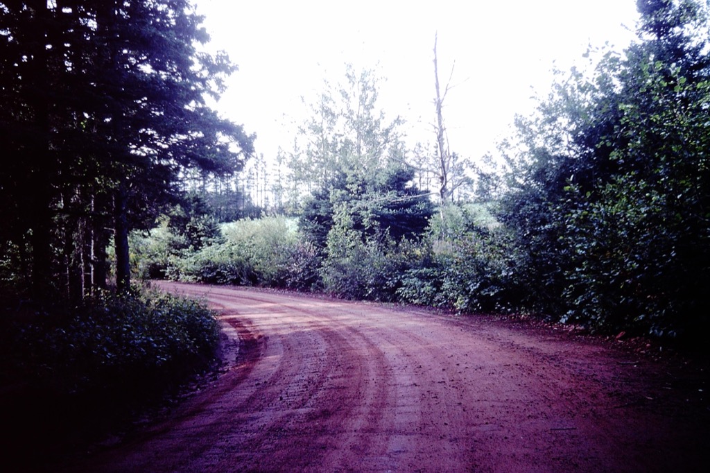 Clay road bends on PEI.