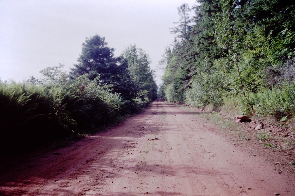 Clay road on PEI.