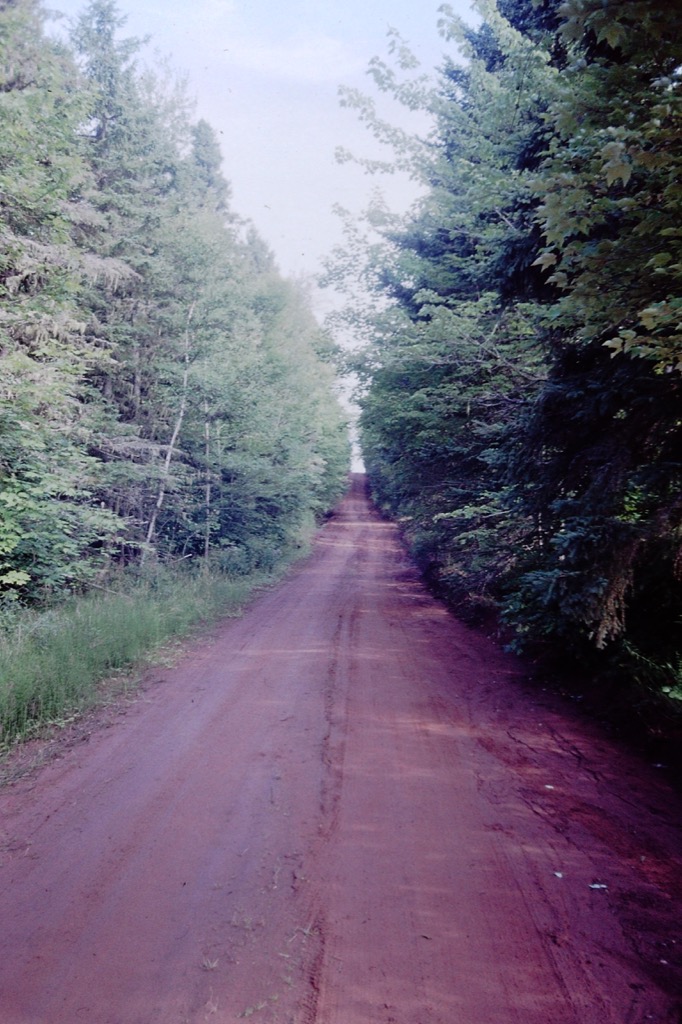 Clay road on PEI.