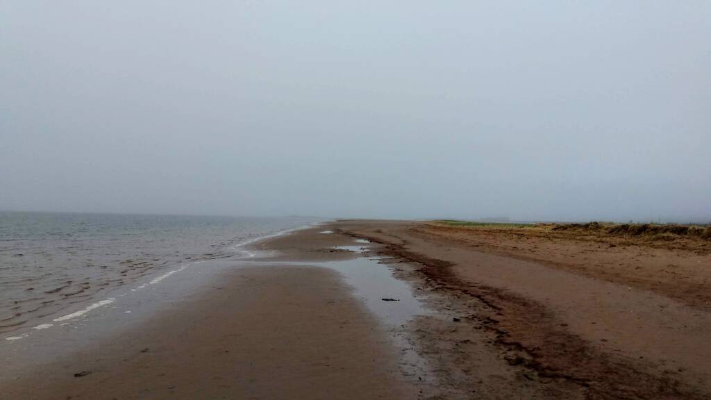 Tracadie Beach