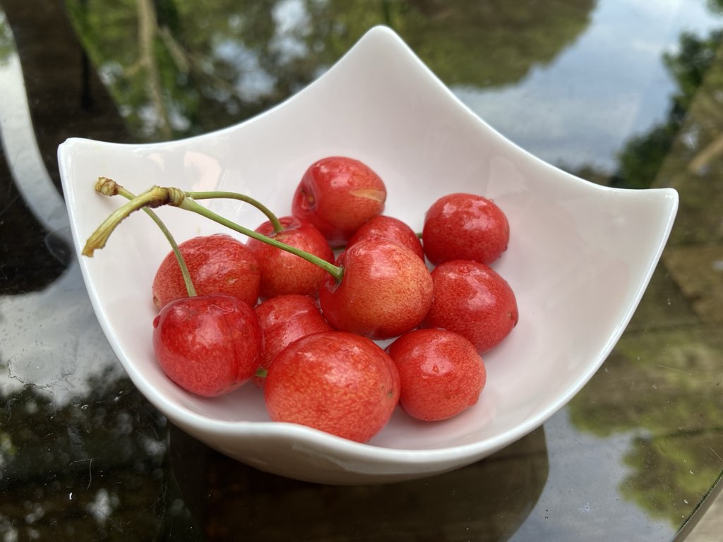 A bowl of cherries.