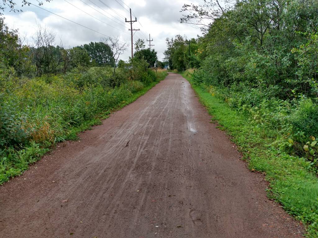 Photo of the Confederation Trail showing bicycle tracks in the mud