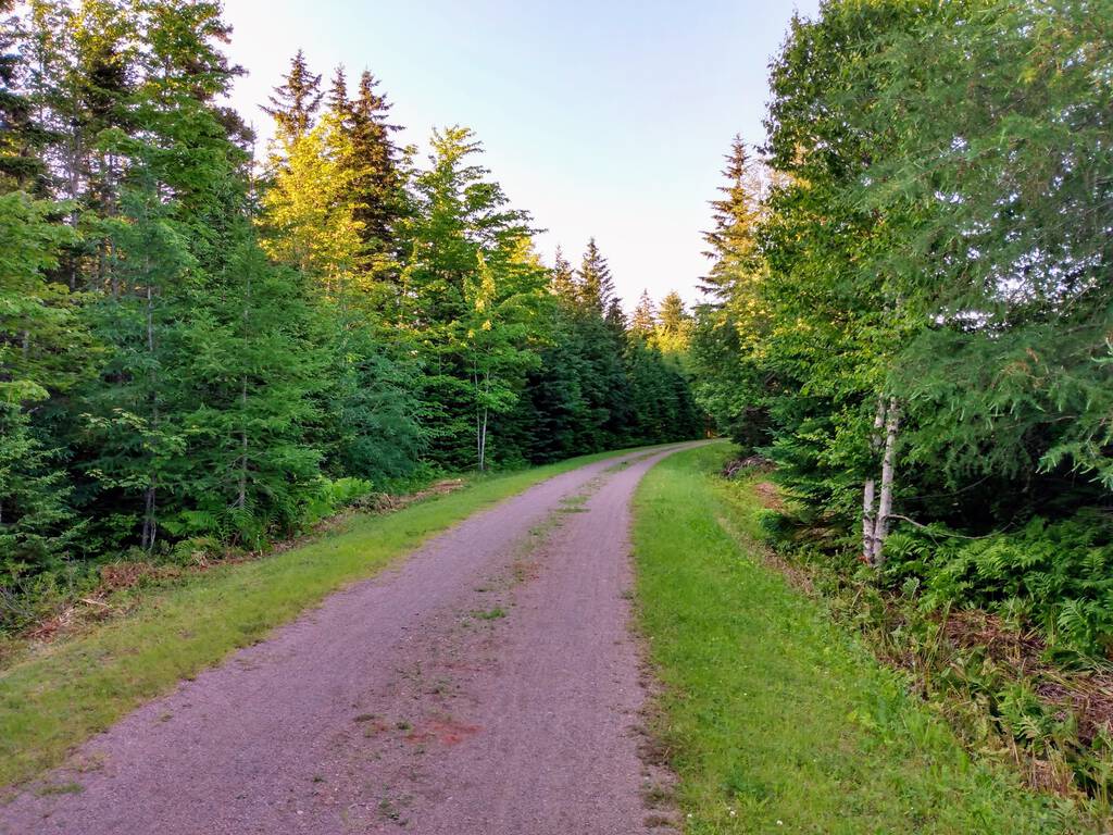 Confederation Trail east of Charlottetown toward York