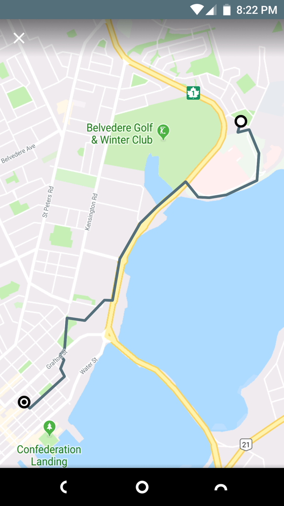 Google Fit map of my cycle ride to the Dog Fun Park