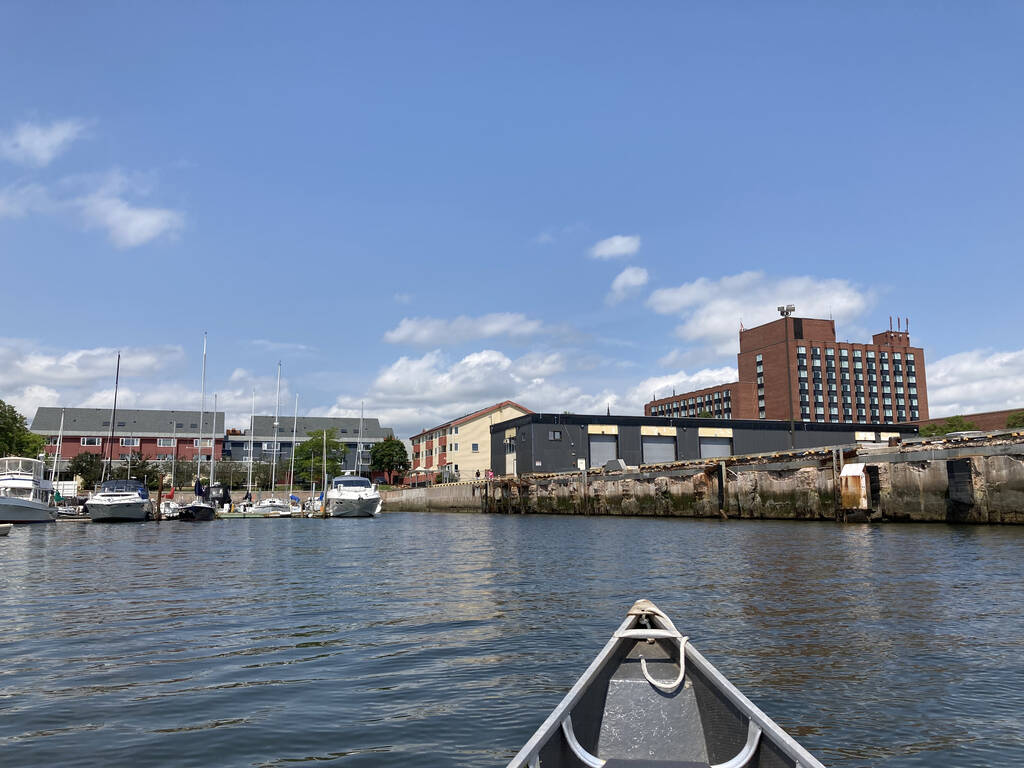 View of the Delta Prince Edward from my canoe.