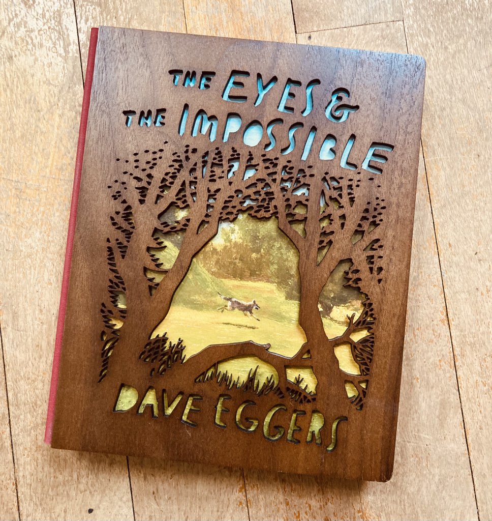A photo of Dave Eggers' The Eyes and The Impossible, in its special wood-bound edition, taken from above, over a hardwood floor.