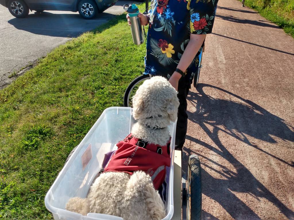 Ethan in bicycle trailer