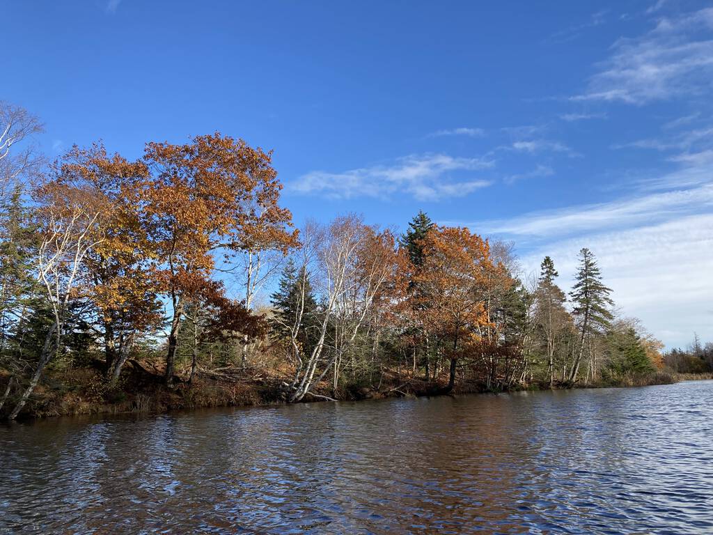 Fall on Andrews Pond.