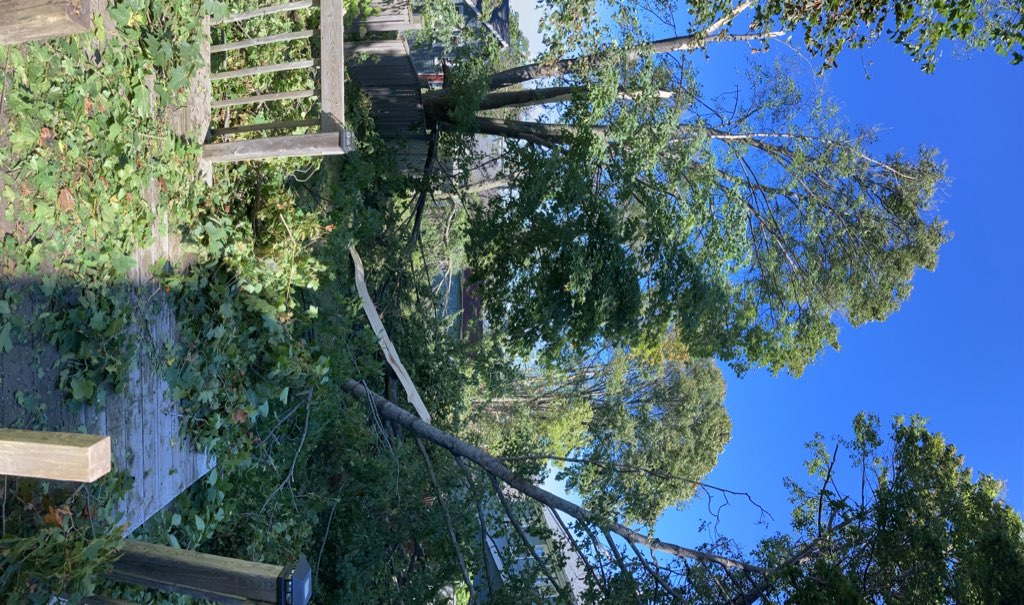 The view from 24 hours after Fiona, with the tree cleared off the back deck.