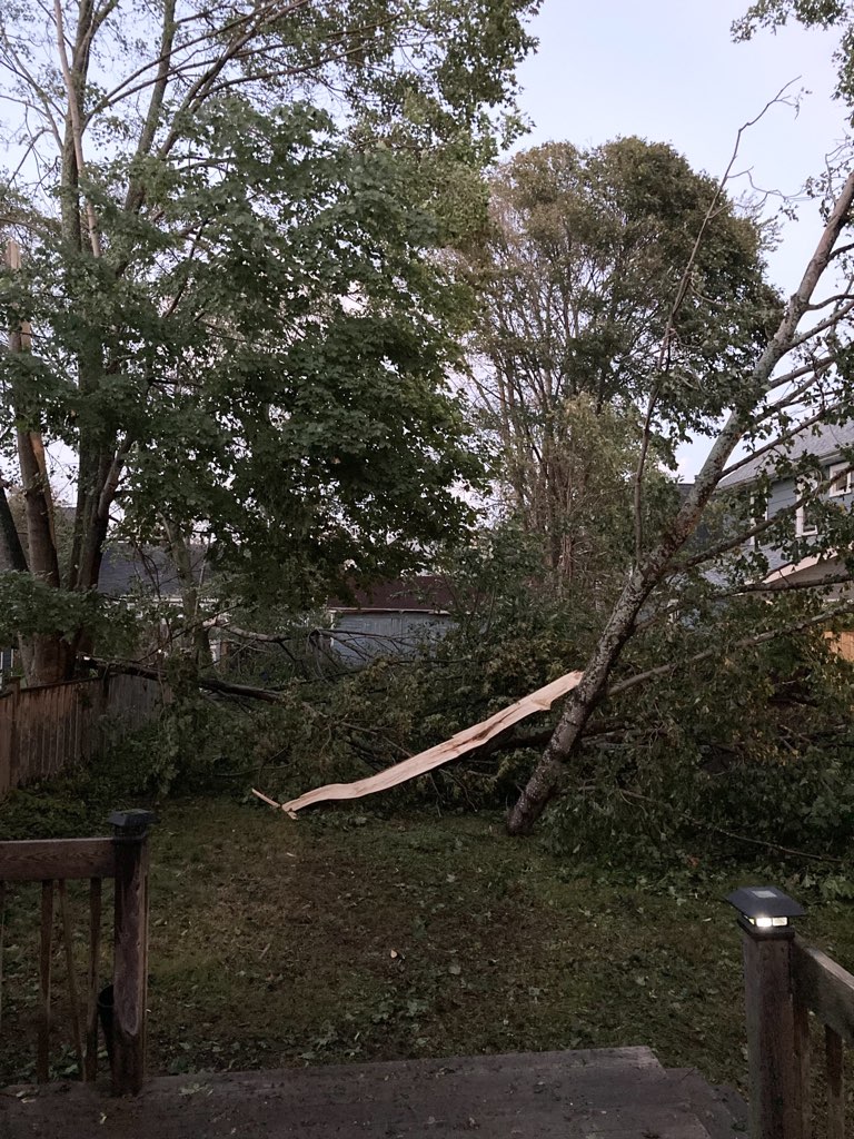 The debris cleared from the front part of the yard.