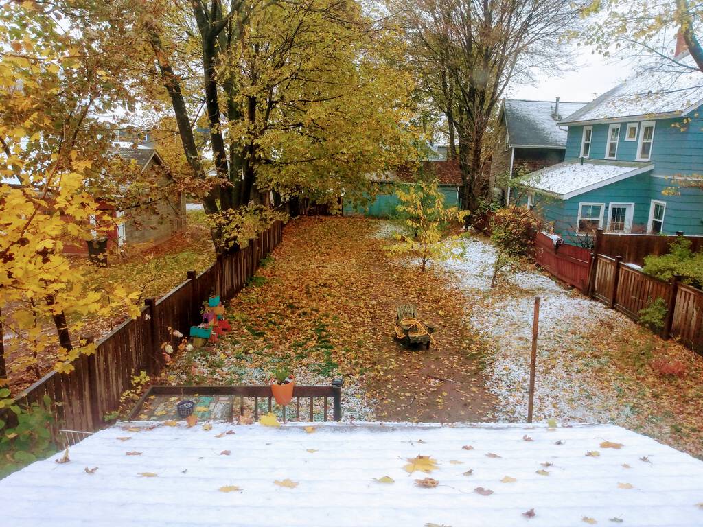 Photo from our upstairs back window into the back yard showing light snow on the ground