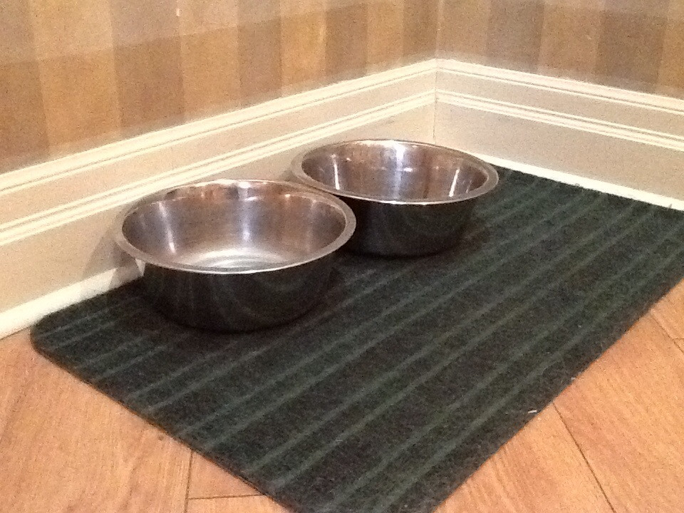 Dog Bowls