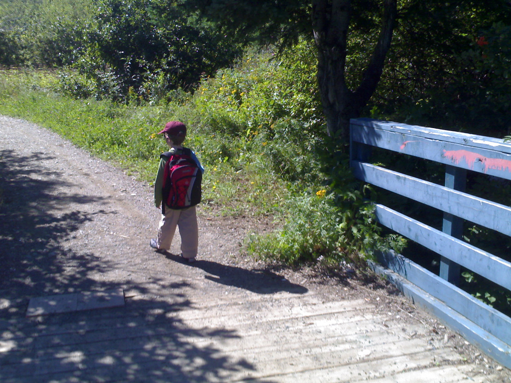 Oliver on the Trail