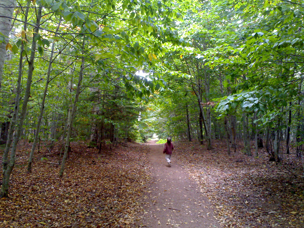 Victoria Park Trail