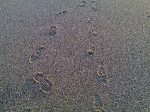 Peter + Oliver = Footprints