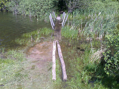 Bridge from the Stone Age