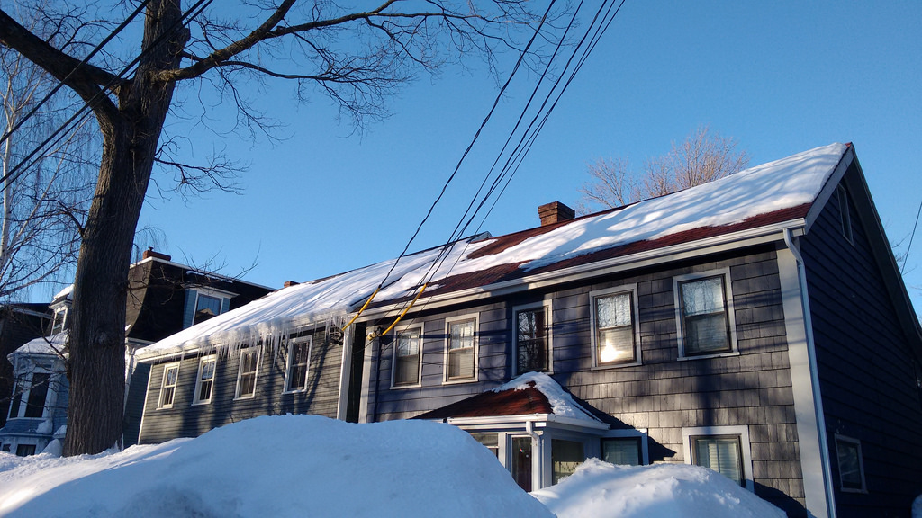 My proudest achievement: a roof free of ice dams (compare us to our neighbor to the left...)