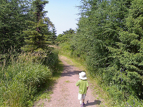 Oliver on the Trail
