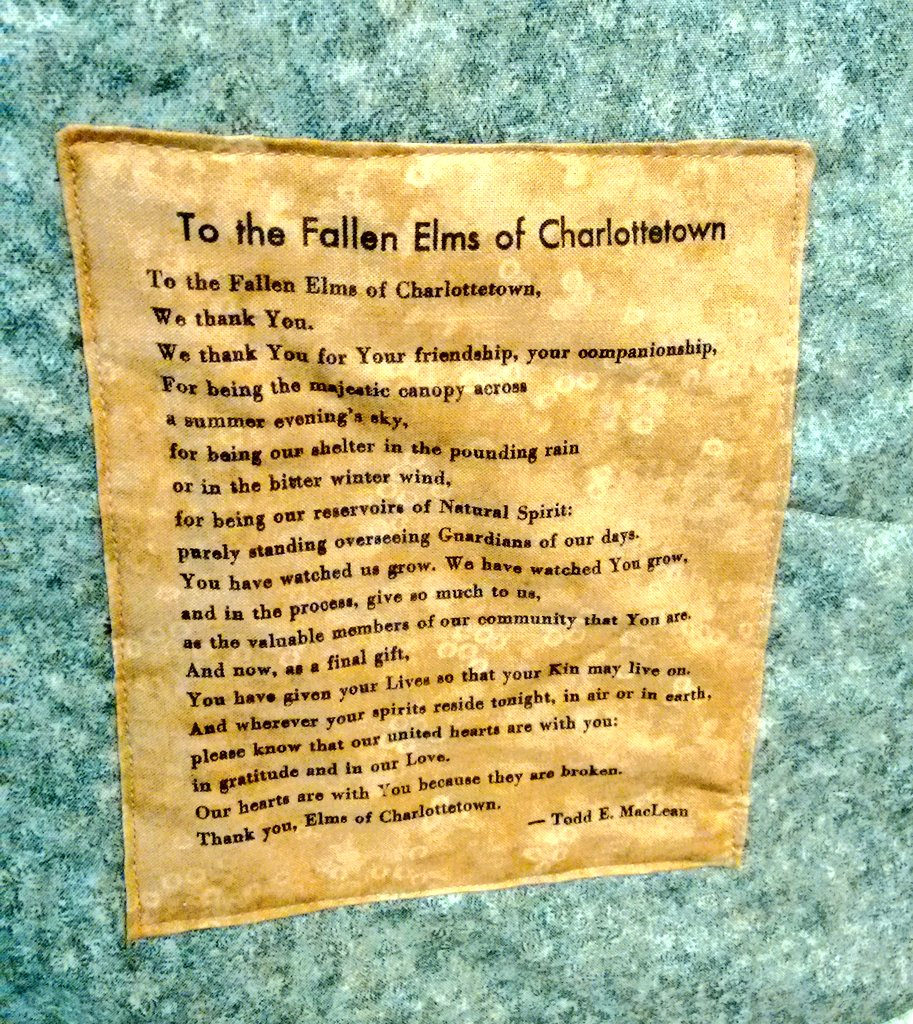 To the Fallen Elms of Charlottetown