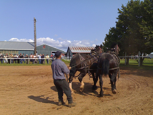 Readying the Horses