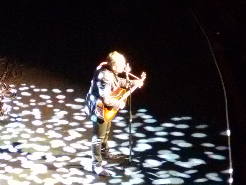 Elvis Costello at London Palladium