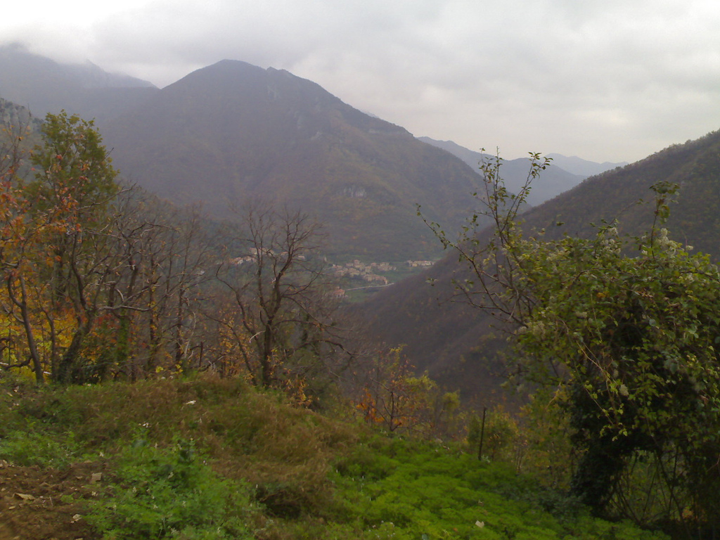 View Down the Valley