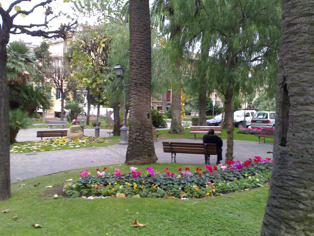 Accordion Busker on Break