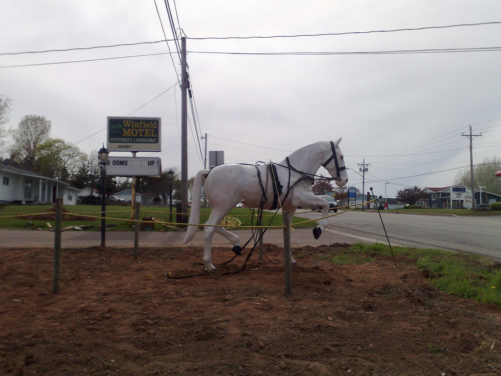 Horse at Winfield Motel