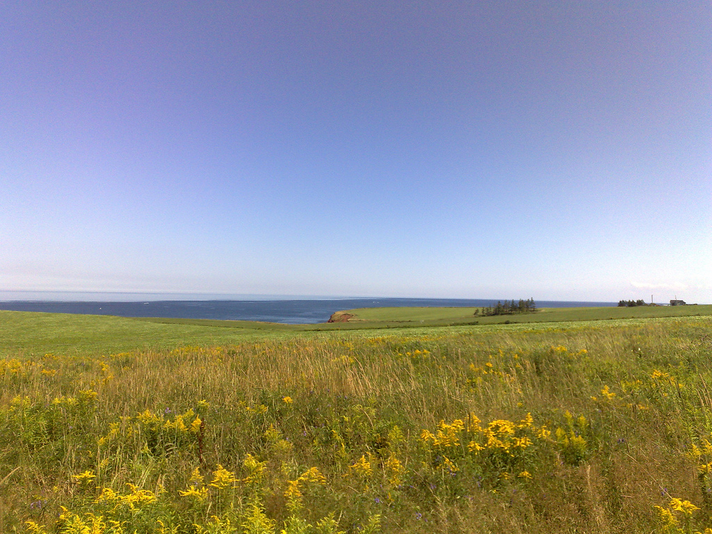 Protected Land near Cape Tryon