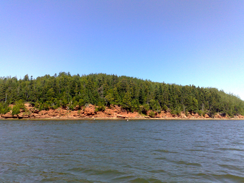 Cliffs on Southwest River