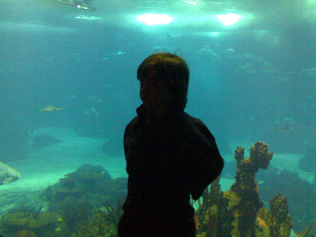 Oliver at Lisbon Oceanarium