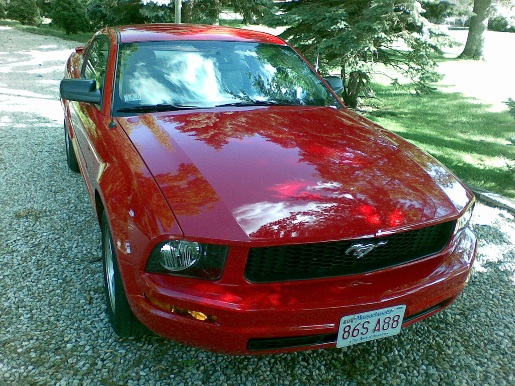 My Ford Mustang