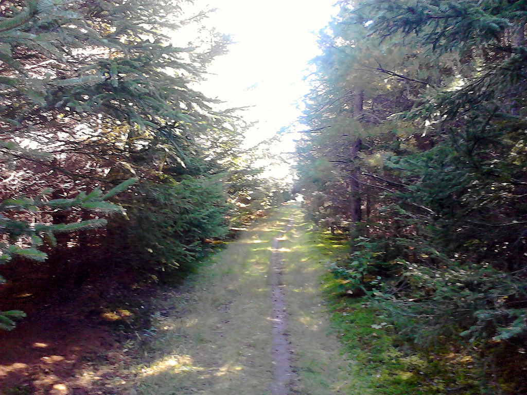 Winter River Trail Head