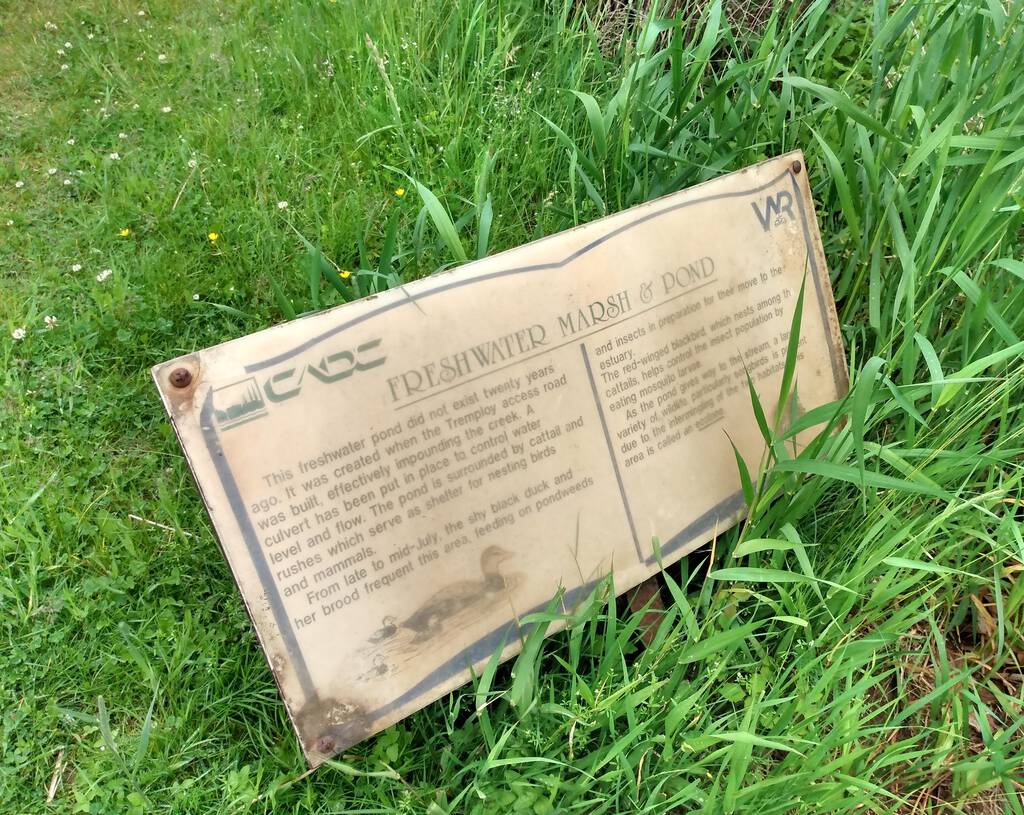 Freshwater Marsh and Pond Sign