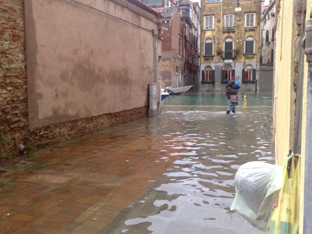 High water on our street in Venice, December 3, 2019