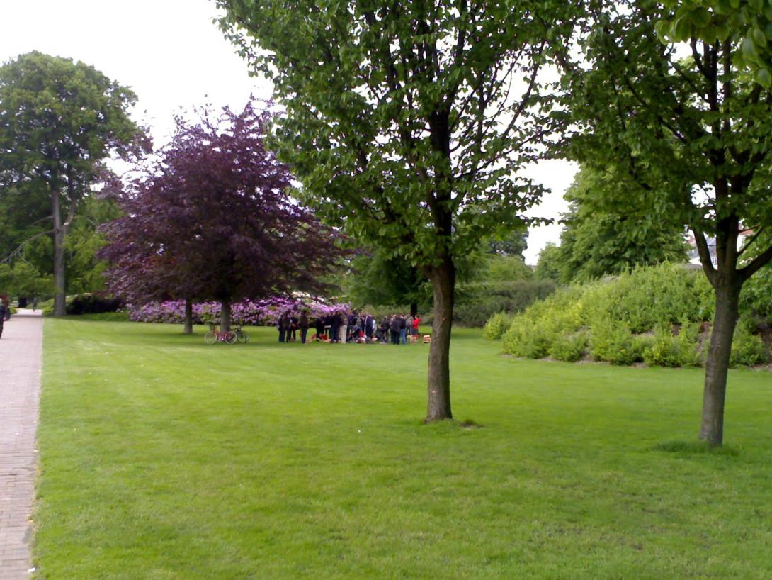 A gathering of people in the far distance in a city park.