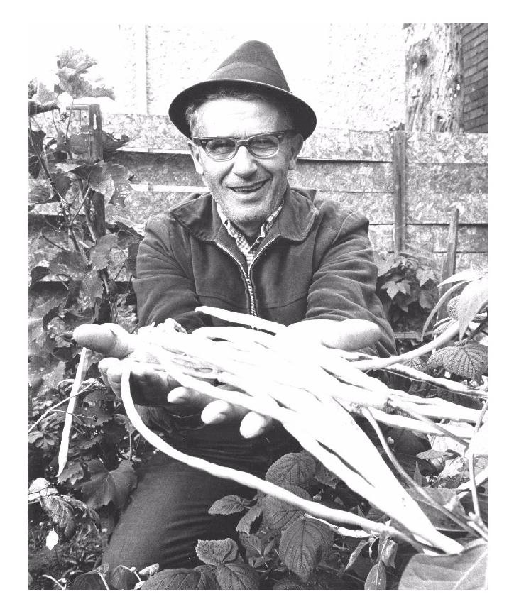 A middle-aged man wearing a hat, kneeling down, in a kitchen garden, holding fresh beans oven in front of him