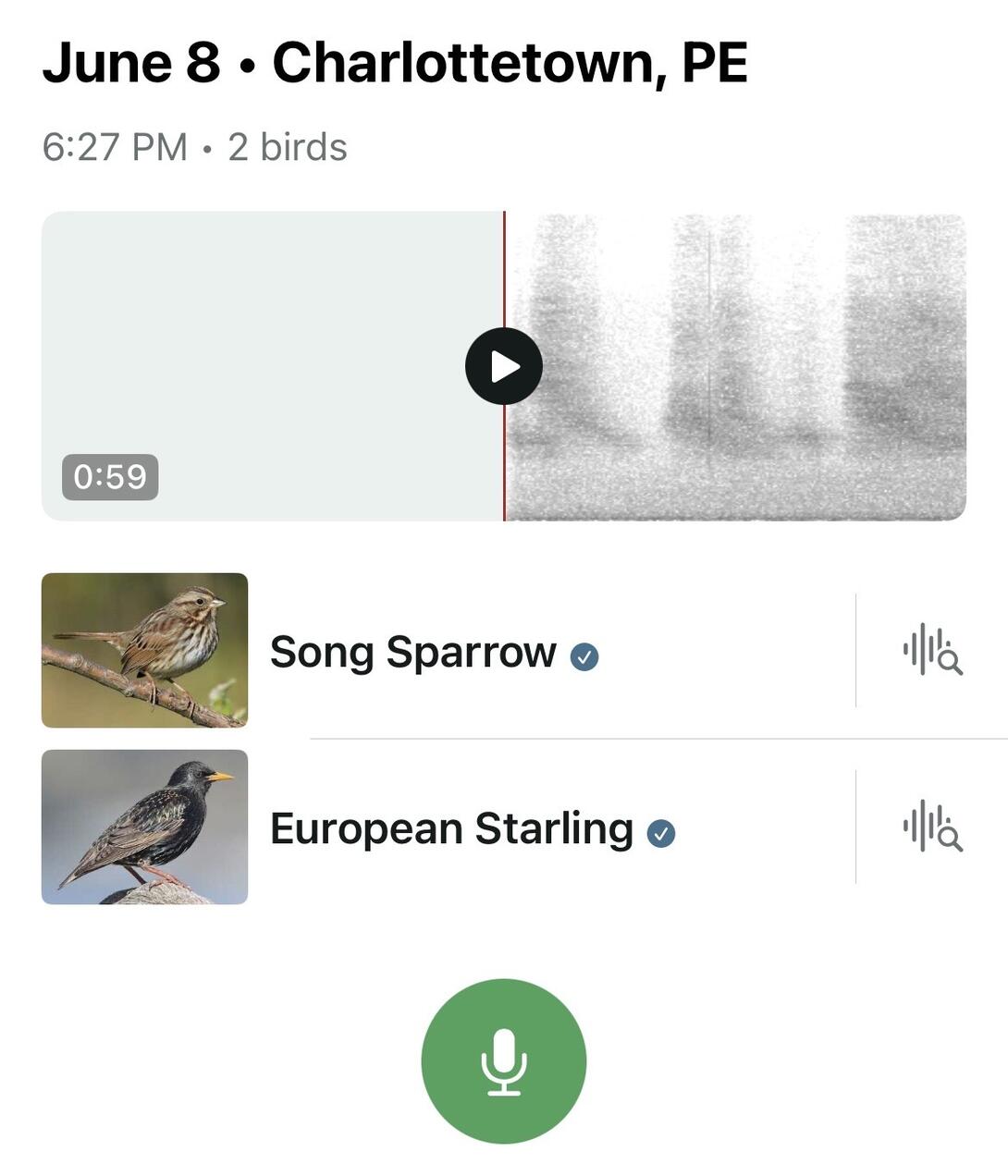A screen shot from the Merlin app, showing photos and names of birds, and a graphical representation of the sounds it heard.