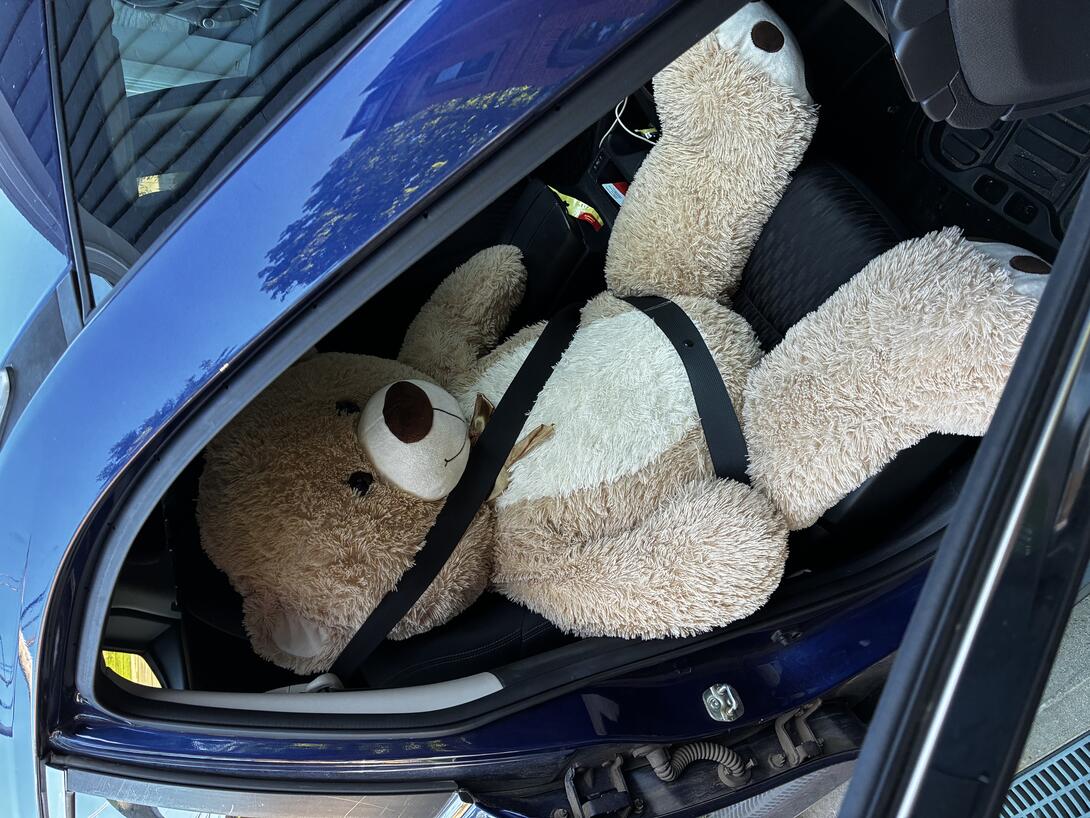 A large stuffed bear is belted into the passenger seat of a blue SUV.