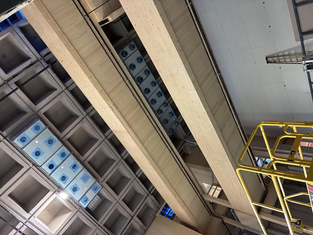 Looking up at the mass timber bridges from below.