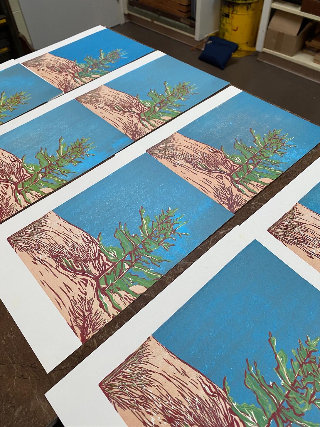 FInished prints, laid out to dry