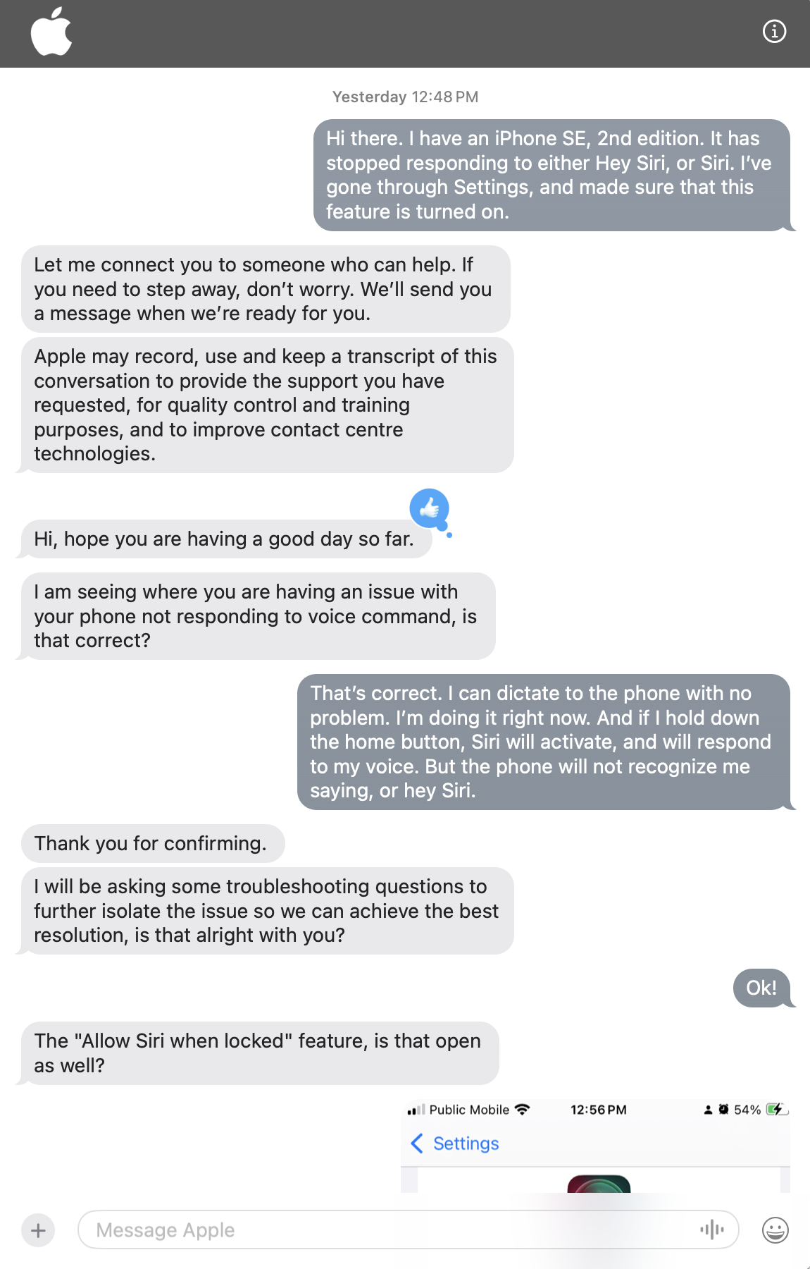 The first part of a text chat with Apple Support in iMessages.