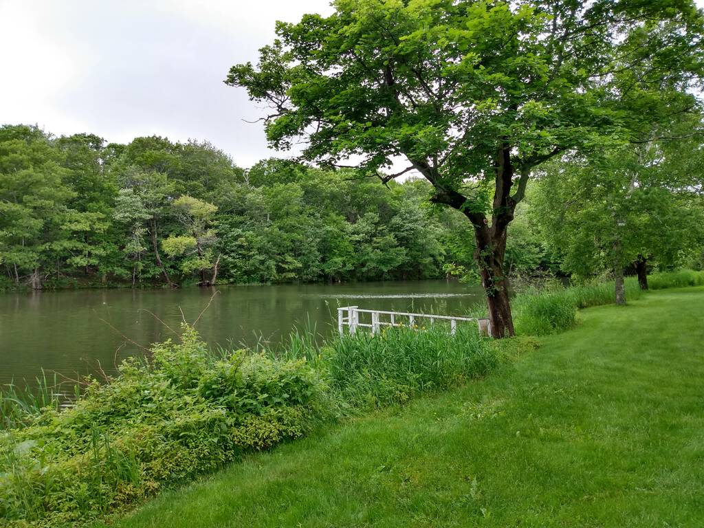 Andrews Pond from John Andrew's House