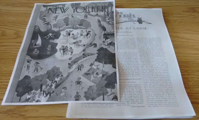 The Resulting Pseudo New Yorker