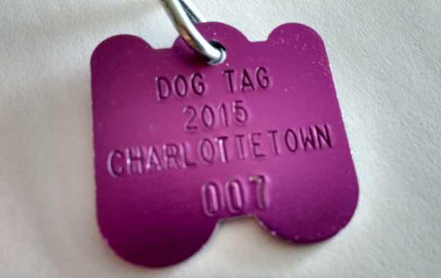 Ethan's 2015 Dog Tag